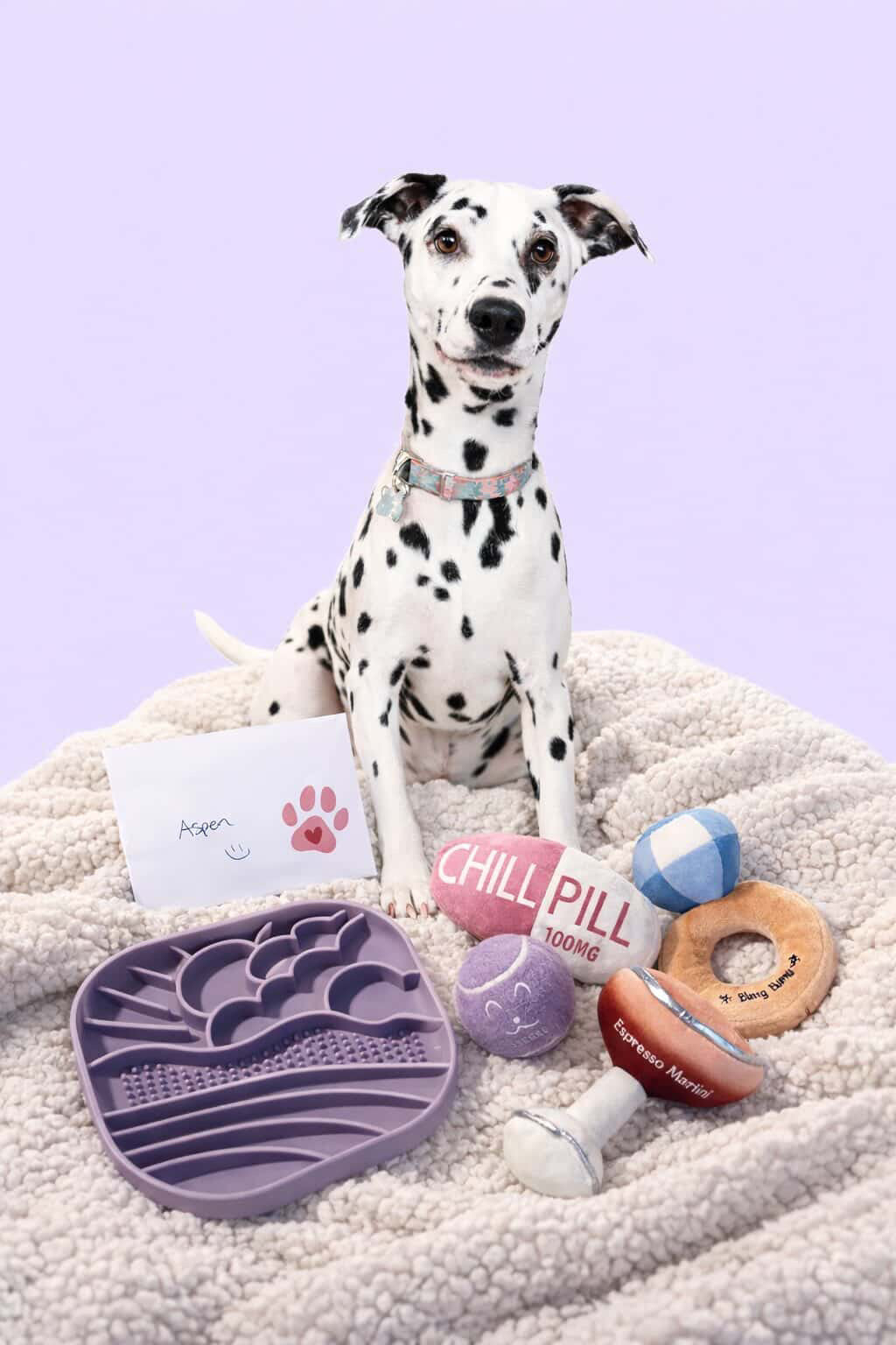 Sunshine & Rainbows Pet Slow Feeder