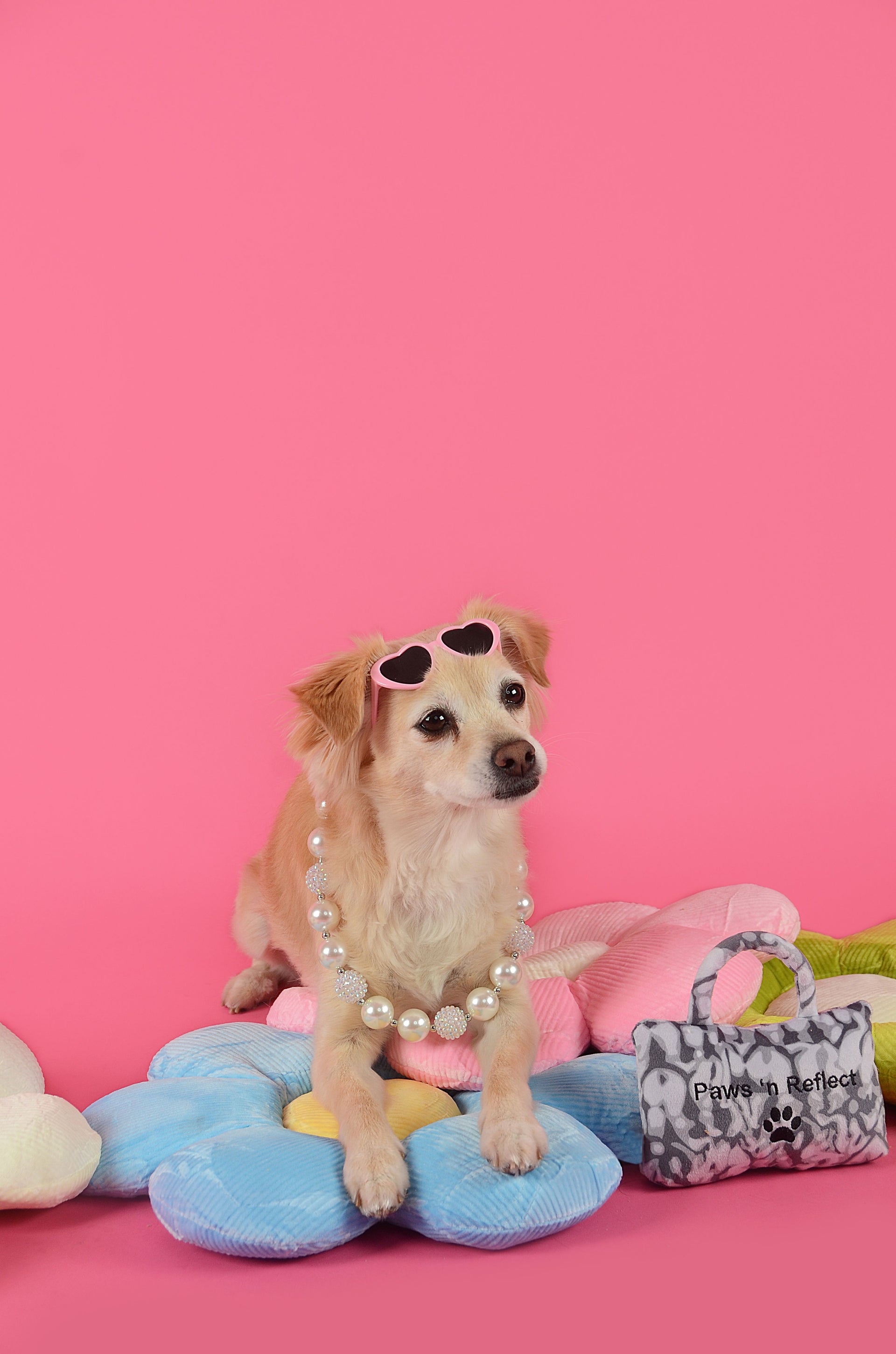 Heart Pet Sunglasses