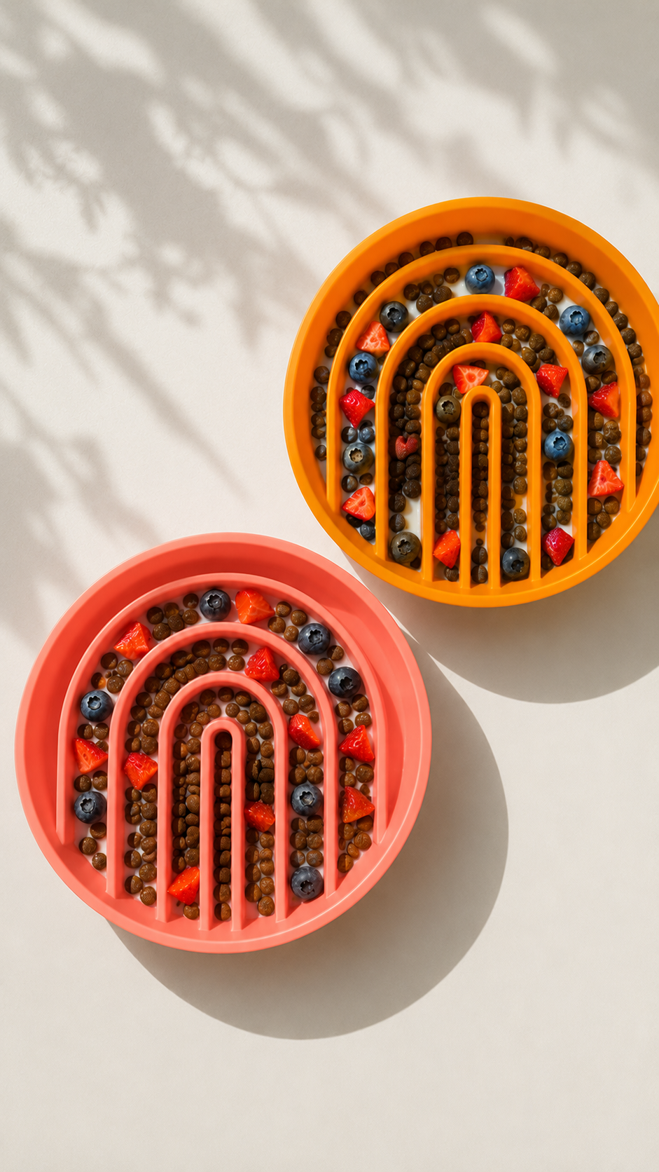 Rainbow Arch Slow Feeder