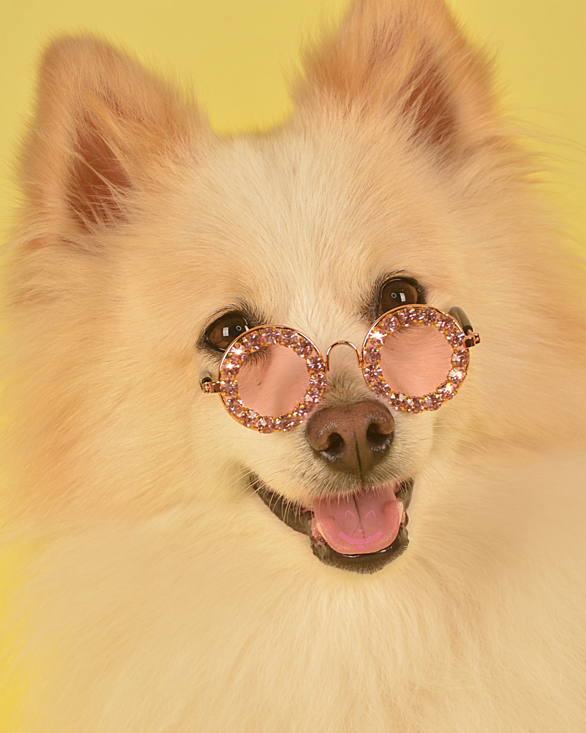 Pawparazzi Diamond Pet Sunglasses