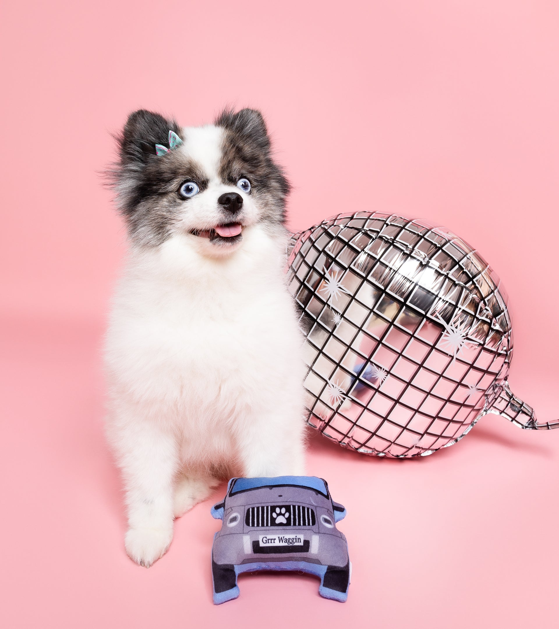 Grrr Waggin Dog Toy